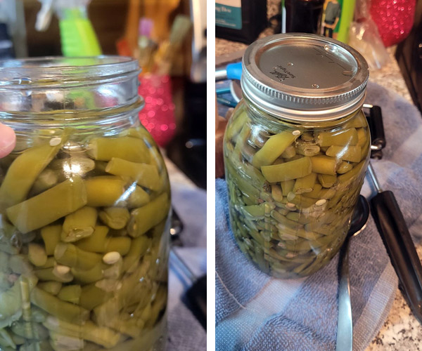 Raetta's Canned Green Beans