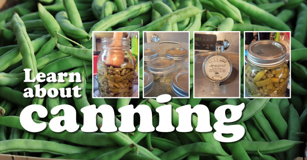 Learn about canning